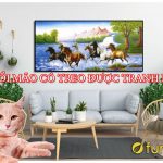 Người tuổi Mão có treo được tranh ngựa, mã đáo thành công?