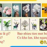 Hình ảnh Tranh Canvas - 5 Câu Hỏi Thường Gặp Có Thể Bạn Chưa Biết!!!