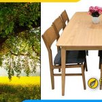 Bộ bàn ăn 6 ghế gỗ sồi Mỹ có nên mua không?