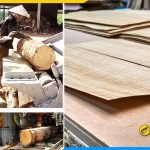 Veneer la gi san xuat ra sao gia ban the nao