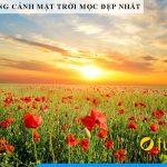 Nhung buc tranh binh minh mat troi moc dep nhat