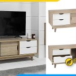 ảnh mẫu kệ tivi gỗ ép giá rẻ kiểu dáng hiện đại