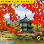 Nhung buc tranh phong canh han quoc dep nhat