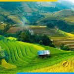Nhung buc tranh phong canh rung nui dep hop phong thuy nhat