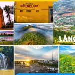 Nhung mau tranh phong canh da lat dep nhat
