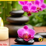 tranh spa hoa da nen thu thai