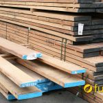 gỗ dẻ gai có bị mối mọt hay không