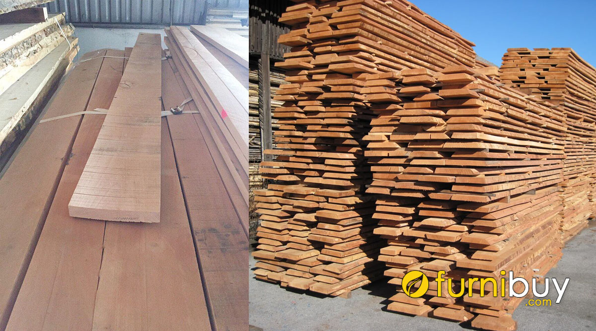 gỗ dẻ gai xẻ sấy có mấy loại khác nhau