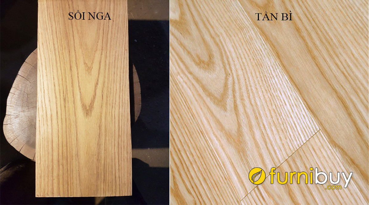 sự thật về gỗ tần bì và gỗ sồi nga nhập khẩu