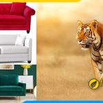 Chọn sofa phòng giám đốc tuổi canh Dần hợp mệnh