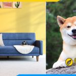 Chọn sofa phòng giám đốc tuổi Tuất hợp phong thủy