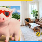 Furnibuy tư vấn chọn sofa phòng giám đốc tuổi Hợi
