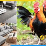 Furnibuy tư vấn chọn sofa phòng giám đốc tuổi Dậu