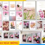 100 mau tranh canvas mau hong treo tuong ngot ngao nhat