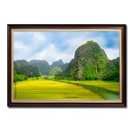 Bức tranh treo tường đẹp phong cảnh Tam Cốc Bích Động mùa lúa chín